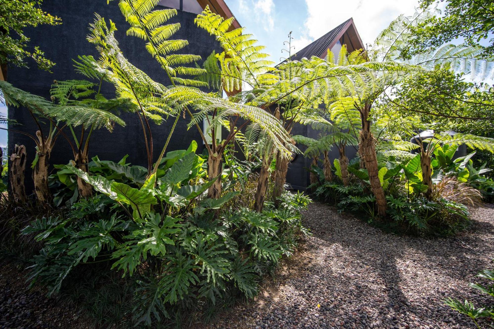 Black Wood Cabin Kintamani  Luaran gambar